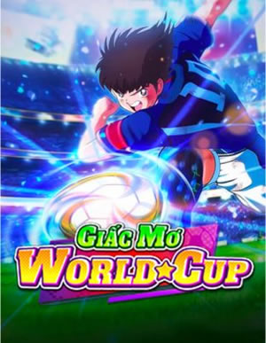 Wild Multiplier
